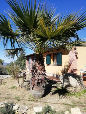 Cozy apartment in Caltanissetta 50 m² with terrace Caltanissetta